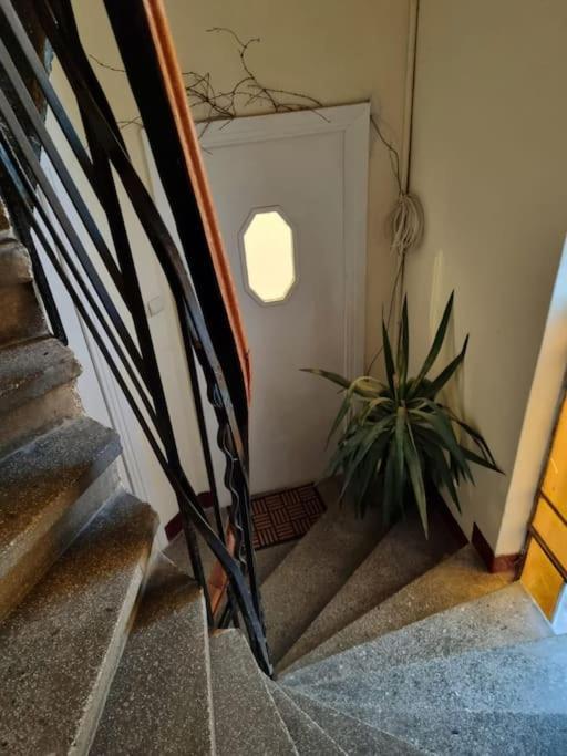 Cozy Apartment Near City Center Βουκουρέστι Εξωτερικό φωτογραφία